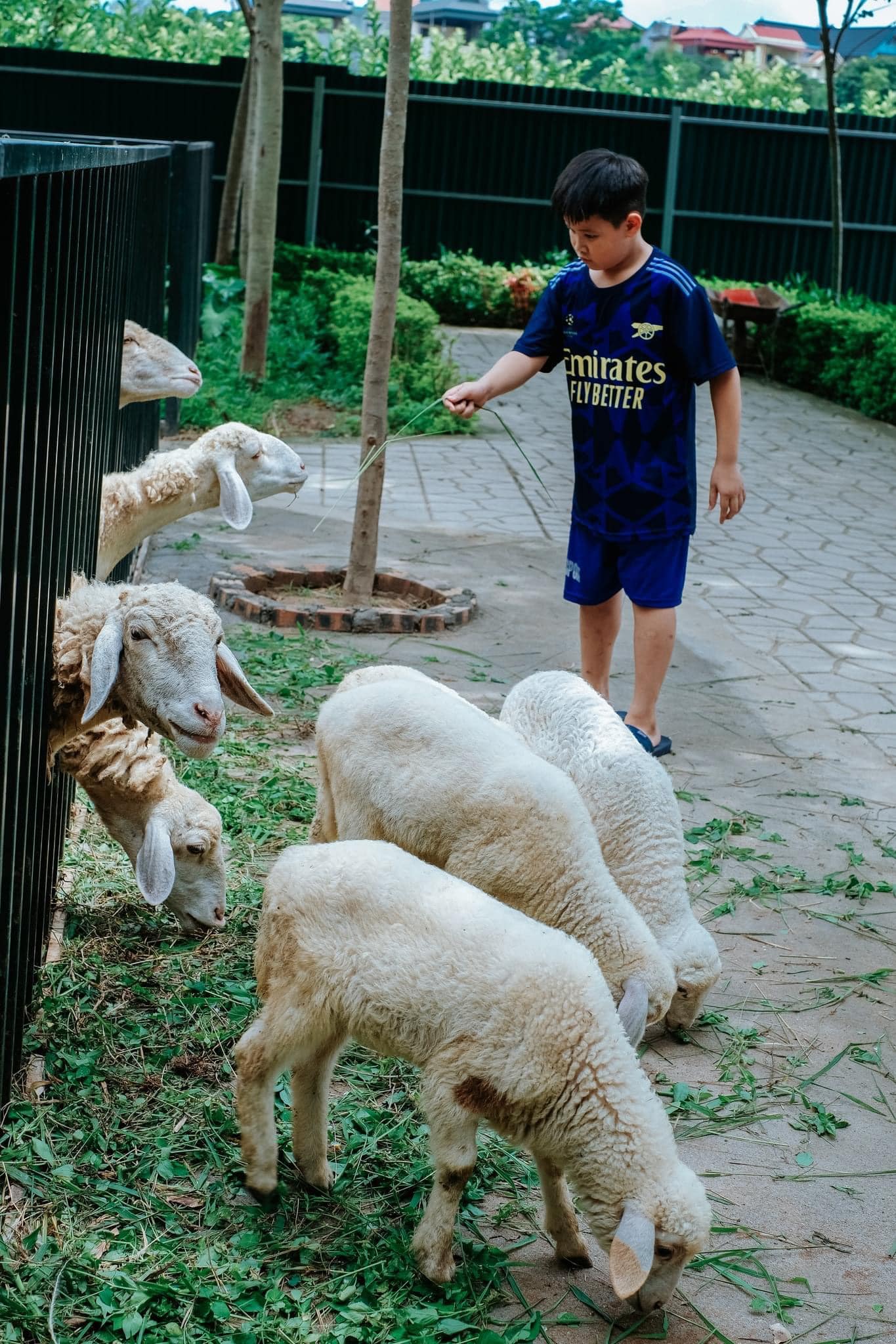 486856612 1239736711485794 2324425855293461068 n