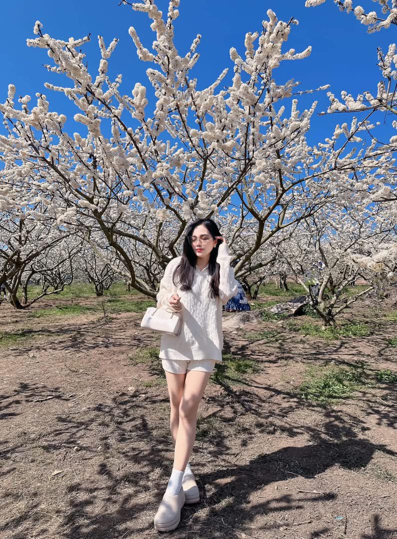 484338633 667598625646013 1275482642759292693 n