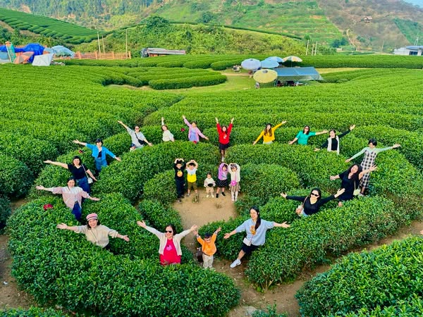 Lịch Trình Đến Mộc Châu Du Lịch 3 Ngày 2 Đêm