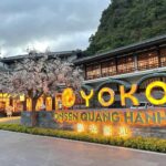 500250960 2439156539781635 482819005587215868 n