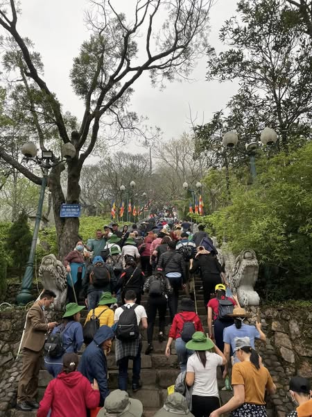 491712572 1359612579505234 5519700675116370596 n