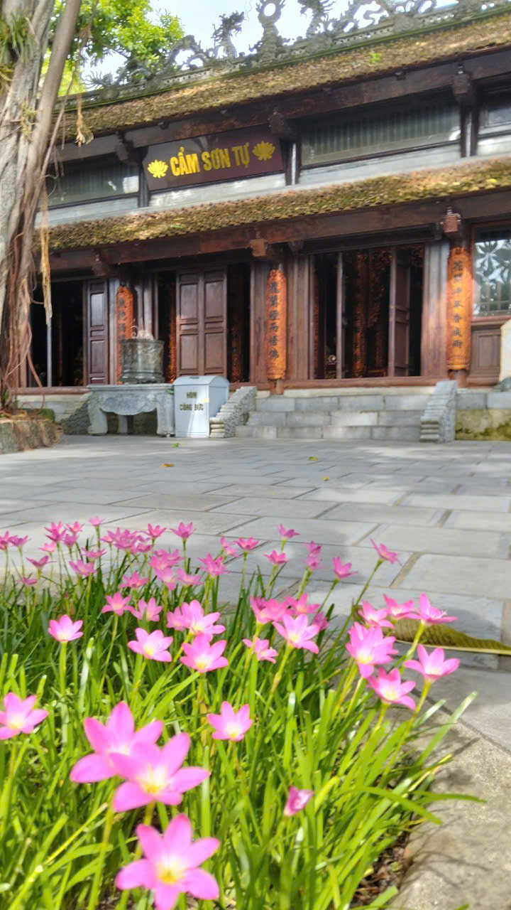 519542421 1423979802575751 2792780508873203835 n