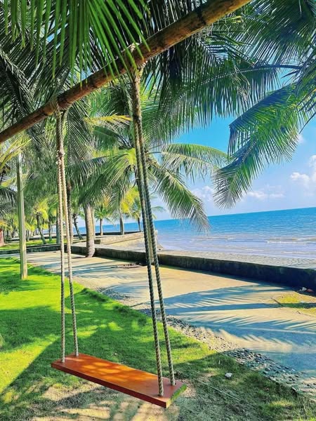 511266911 2955469111280021 5945609337230903609 n